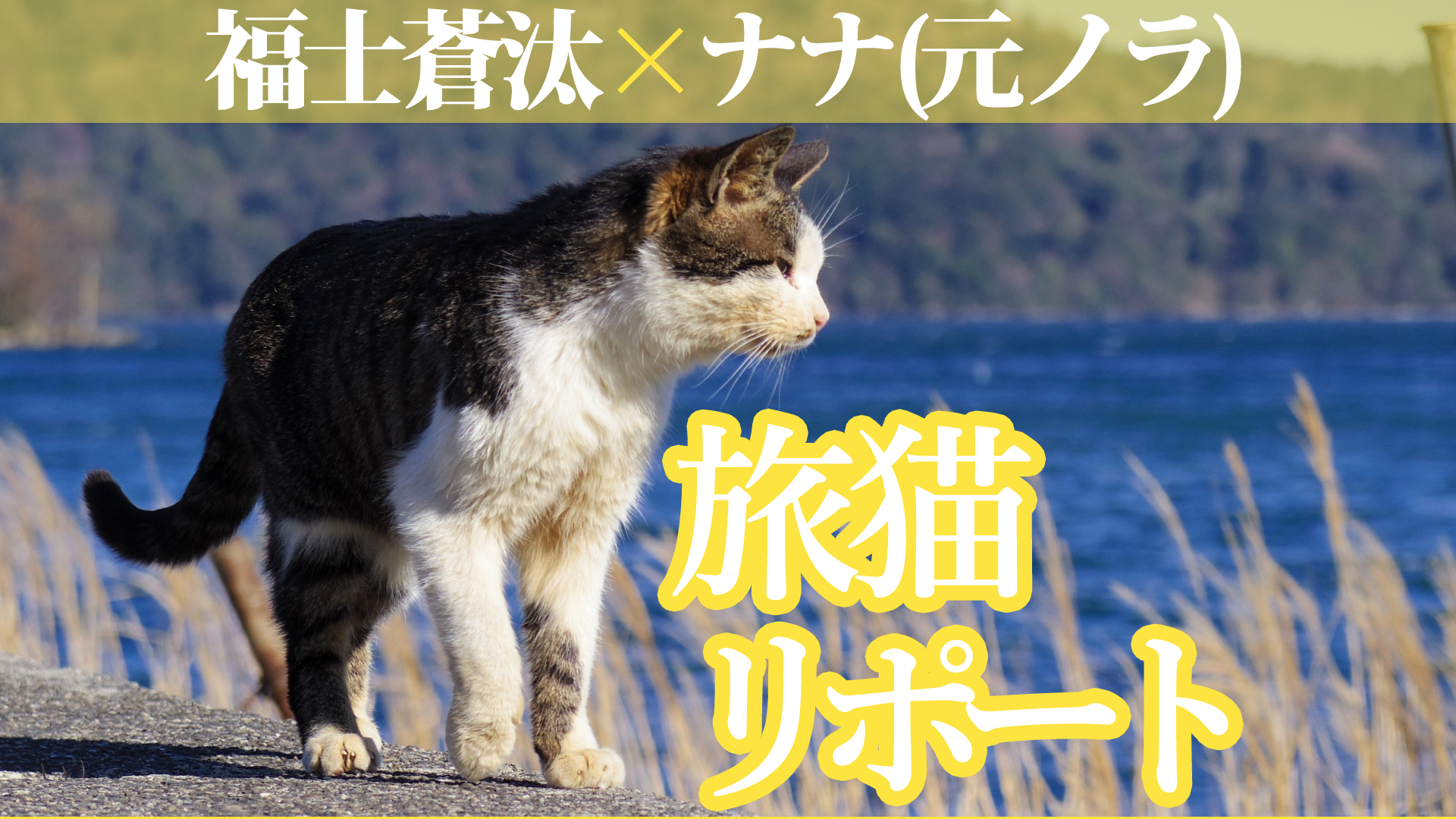 【映画『旅猫リポート』レビュー】福士蒼汰主演！動物を通して家族愛を再確認できる作品