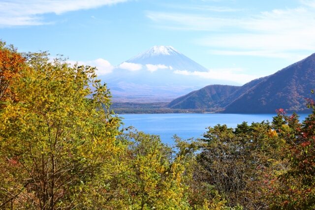 【せっかくグルメ】富士五湖ロケ地の場所を紹介｜富士五湖観光協会おすすめスポット