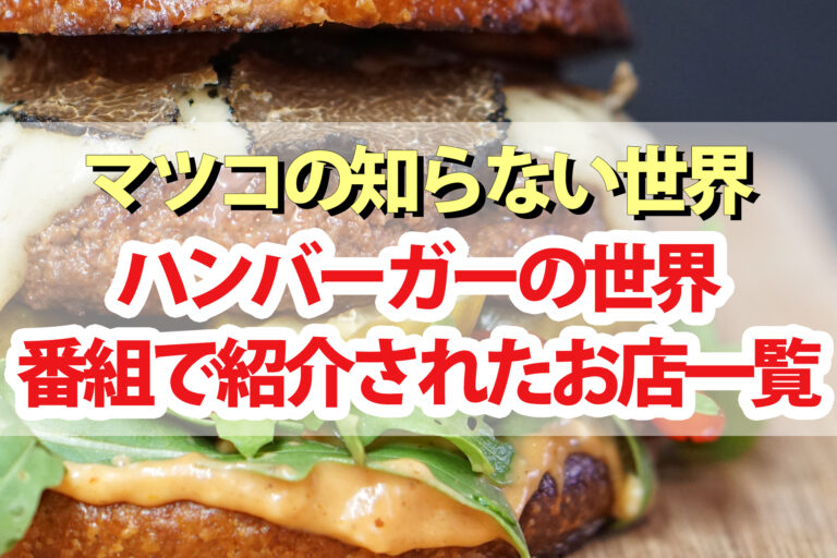 【マツコの知らない世界】ハンバーガーの世界まとめ！最新トレンド＆進化系