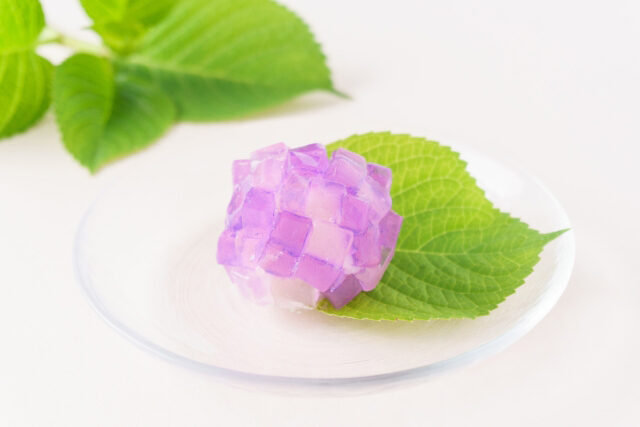 【きょうの料理】紫陽花(あじさい)レシピ 大森慶子さんが教える夏の本格和菓子