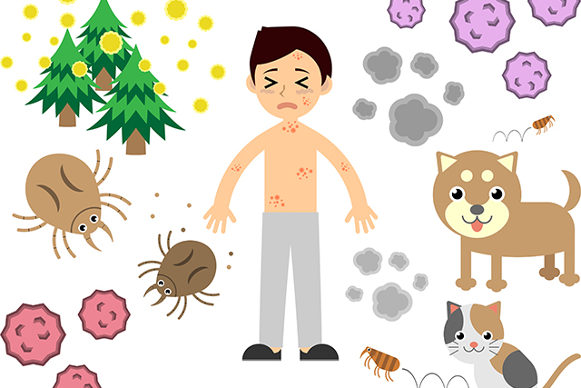 【世界一受けたい授業】アレルギー8つの新事実と対策(花粉症＆ハウスダスト)