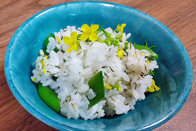 【きょうの料理】菜の花とハムの混ぜご飯のレシピ しらいのりこさんの20分で晩ごはん