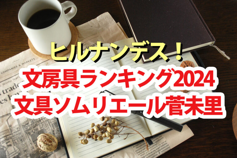 【ヒルナンデス】文房具2024ランキング文具ソムリエール菅未里おすすめ